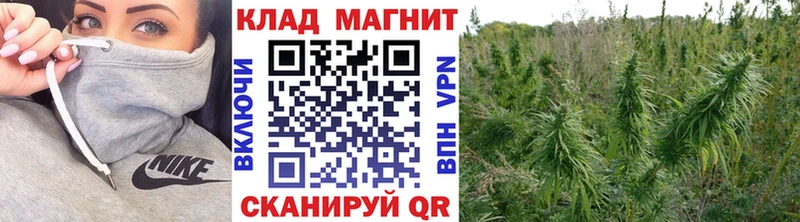 Магазин наркотиков Балей Марихуана  АМФЕТАМИН  blacksprut tor  Меф  Гашиш 