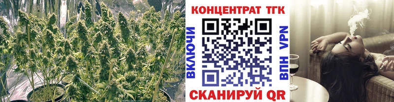 ТГК гашишное масло  дарк нет как зайти  ссылка на мегу ТОР  Балей  хочу наркоту 