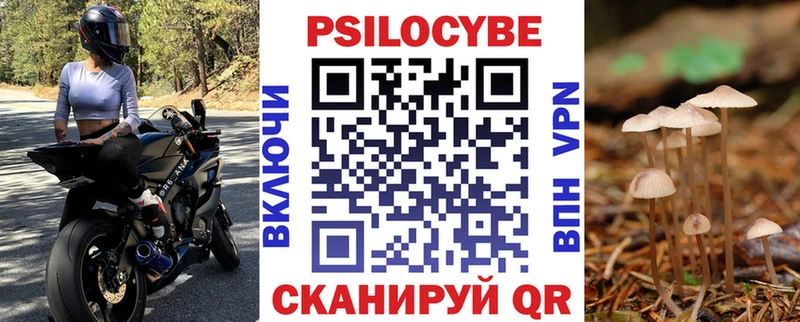 Галлюциногенные грибы прущие грибы  blacksprut как войти  Балей 